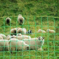Electric Fence Netting, 42 In. H X 164 Ft. L, PE Fencing With Posts And Double-Spiked Stakes, Polywire Garden Fence 17 Electric Fence Netting, 42 In. H X 164 Ft. L, PE Fencing With Posts And Double-Spiked Stakes, Polywire Garden Fence -Dewalt Tools Shop green yellow black svopes garden fencing dxjcwlw42in1lycclv9 1022 31 1000