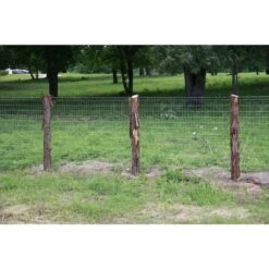 1-1/2 In. X 1/4 In. 9-Gauge Hot Dipped Galvanized Smooth Shank Fencing Staples 1 Lb. Box -Dewalt Tools Shop grip rite staples 112hgfs1 c3 1000