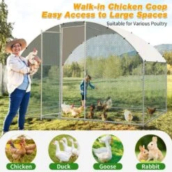 19.7 Ft. X 9. 8 Ft. X 6.5 Ft. Large Poultry Fencing Metal Chicken Run House With Waterproof Cover Arch Chicken Coop -Dewalt Tools Shop karl home chicken coops k1g67000007 fa 1000