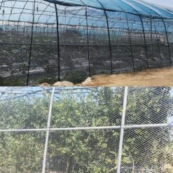 Bird Netting For Garden 6.5 X 65 Ft. 5/8 In. Square Mesh Heavy Duty Protective Fencing For Plants Vegetable Chicken Coop -Dewalt Tools Shop kiwdzfu snow fencing a422ph522353 44 1000