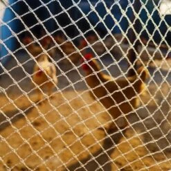 Bird Netting For Garden 6.5 X 65 Ft. 5/8 In. Square Mesh Heavy Duty Protective Fencing For Plants Vegetable Chicken Coop -Dewalt Tools Shop kiwdzfu snow fencing a422ph522353 4f 1000