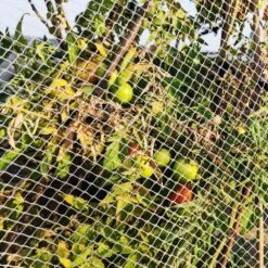 Bird Netting For Garden 6.5 X 65 Ft. 5/8 In. Square Mesh Heavy Duty Protective Fencing For Plants Vegetable Chicken Coop -Dewalt Tools Shop kiwdzfu snow fencing a422ph522353 fa 1000