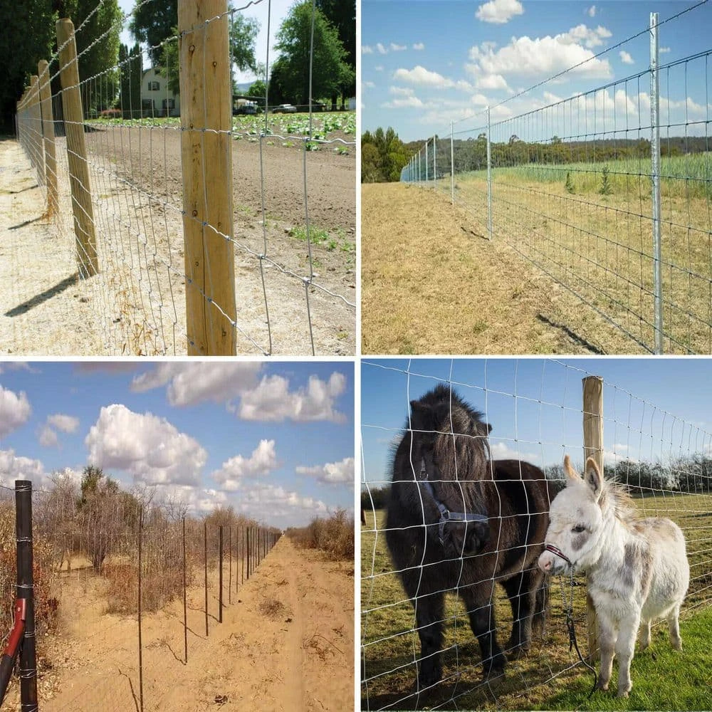 Farm Fence 4 Ft. X 164 Ft. Heavy Zinc Coating Galvanized Field Wire Fencing For Livestock And Animal Protection 9 Farm Fence 4 Ft. X 164 Ft. Heavy Zinc Coating Galvanized Field Wire Fencing For Livestock And Animal Protection - Image 7