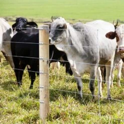 304 Stainless Steel Slivery Fence Staples For Wire Mesh And Woven Fencing And Farm, Reusable Fence Fasteners (100-Pack) -Dewalt Tools Shop laybus chain link fence accessories if31d0tc4 44 1000