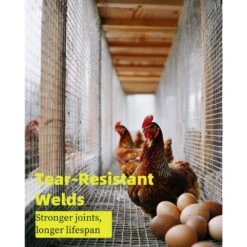 1/2 In. X 3 Ft. X 50 Ft. Hardware Cloth, Hot-Dip Galvanized After Welding, Galvanized Wire Mesh Roll, Chicken Fencing 17 1/2 In. X 3 Ft. X 50 Ft. Hardware Cloth, Hot-Dip Galvanized After Welding, Galvanized Wire Mesh Roll, Chicken Fencing -Dewalt Tools Shop laybus hardware cloth fencing eg27e3sq0 44 1000