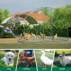 9.84 X 19.68 X 6.56 Ft. Large Walk-in Dome Shaped Metal Chicken Coops With Waterproof And Anti-UV Cover, Poultry Fencing -Dewalt Tools Shop maocao hoom chicken coops y p171905 1d 1000