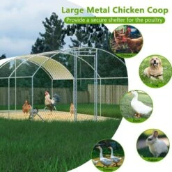9.84 X 19.68 X 6.56 Ft. Large Walk-in Dome Shaped Metal Chicken Coops With Waterproof And Anti-UV Cover, Poultry Fencing -Dewalt Tools Shop maocao hoom chicken coops y p171905 44 1000