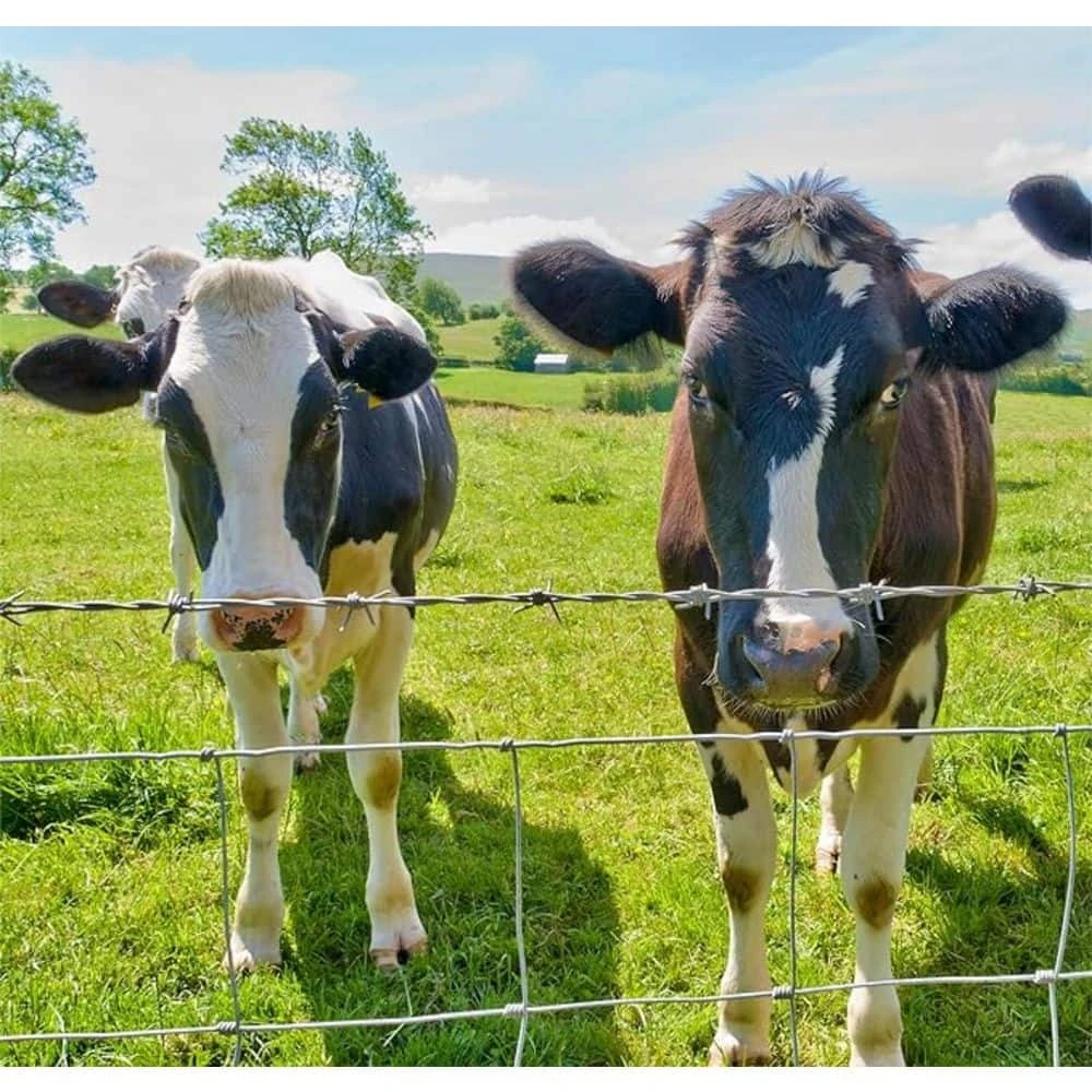 5 Ft X 164 Ft Farm Fence, 14Gauge Heavy Zinc Coating Cattle Fence, Galvanized Field Wire Fencing Deer Fence, Goat Fence 9 5 Ft X 164 Ft Farm Fence, 14Gauge Heavy Zinc Coating Cattle Fence, Galvanized Field Wire Fencing Deer Fence, Goat Fence - Image 7