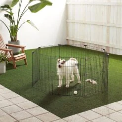 2.5 Ft. X 5 Ft. Octagonal Foldable Flat Top Metal Rectangle Fencing Playpen With Single Door For Dogs, Black -Dewalt Tools Shop metal fence panels 2t9i8l0q 31 1000