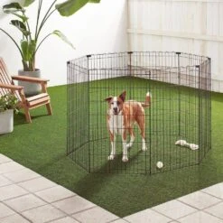 3.5 Ft. X 5 Ft. Octagonal Foldable Flat Top Rectangle Metal Fencing Playpen With Single Door For Dogs, Black -Dewalt Tools Shop metal fence panels 7k2p5m6t 31 1000
