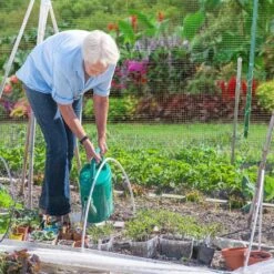 N/A Galvanized Welded Hardware Cloth 19Ga 16x50' 1/2 Mesh Roll For Garden Fencing Animal Protection Water Rust Resistant -Dewalt Tools Shop n a hardware cloth fencing bsa1122c013 76 1000