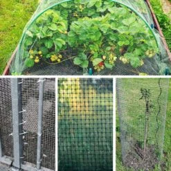 N/A Galvanized Hardware Cloth 1/2 Inch Mesh 19 Gauge Welded Cage Wire Fencing Roll For Garden And Animal Protection 16x50' -Dewalt Tools Shop n a hardware cloth fencing bsa1122c026 fa 1000