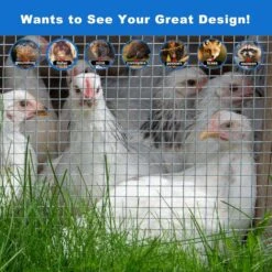 N/A Galvanized Hardware Cloth 1/4 In. X 48 In. X 100 Ft. 23-Gauge Rust-Resistant Wire Mesh Roll For Garden Fencing Fence -Dewalt Tools Shop n a hardware cloth fencing bsa1122c041 fa 1000