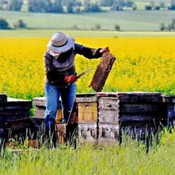 N/A 1/8 Inch Mesh 36 In. X 10 Ft. 27-Gauge Fine Galvanized Wire Mesh Roll For Bee Chicken Fencing Screen Plant Supports -Dewalt Tools Shop n a hardware cloth fencing bsa1122c045 76 1000