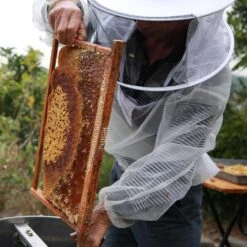 N/A 1/8 Inch Mesh 36 In. X 10 Ft. 27-Gauge Fine Galvanized Wire Mesh Roll For Bee Chicken Fencing Screen Plant Supports -Dewalt Tools Shop n a hardware cloth fencing bsa1122c045 fa 1000