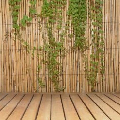 6 Ft. H X 16 Ft. L Natural Jumbo Reed Bamboo Fencing