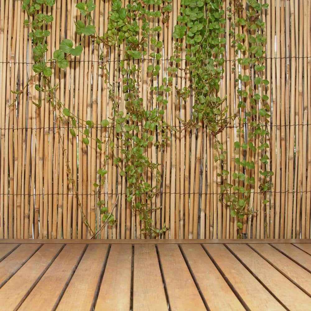 6 Ft. H X 16 Ft. L Natural Jumbo Reed Bamboo Fencing 3 6 Ft. H X 16 Ft. L Natural Jumbo Reed Bamboo Fencing