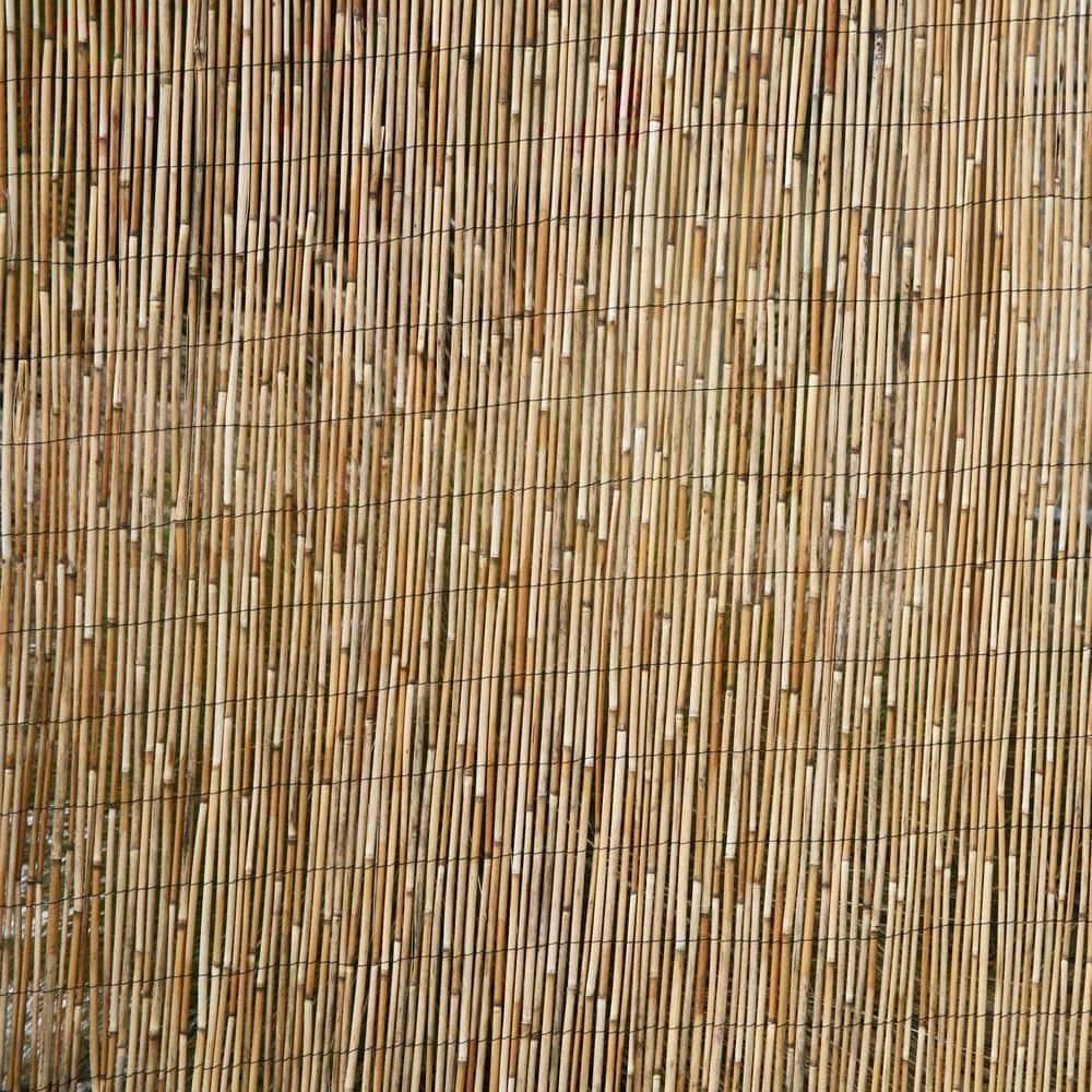 6 Ft. H X 16 Ft. L Natural Jumbo Reed Bamboo Fencing 9 6 Ft. H X 16 Ft. L Natural Jumbo Reed Bamboo Fencing - Image 7