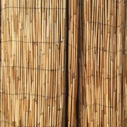 4 Ft. H X 8 Ft. L Tan Peeled Reed Fencing Panel Decorative Screen Fence For Backyard Garden Fencing Divider (2-Pack) -Dewalt Tools Shop natural backyard x scapes garden fencing 20 n4pk2 44 1000