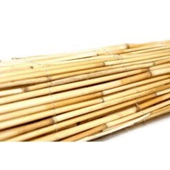 4 Ft. H X 8 Ft. L Tan Peeled Reed Fencing Panel Decorative Screen Fence For Backyard Garden Fencing Divider (2-Pack) -Dewalt Tools Shop natural backyard x scapes garden fencing 20 n4pk2 e1 1000