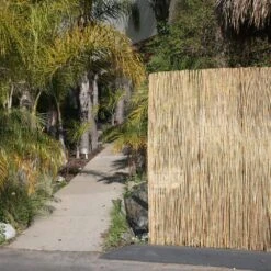 6 Ft. H X 16 Ft. L Bamboo Tan Reed Fencing Panel Decorative Screen Fence For Backyard Garden Fencing Divider (2-Pack) -Dewalt Tools Shop natural backyard x scapes garden fencing 20 n6pk2 31 1000