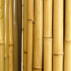 Natural Bamboo Fencing Decorative Rolled Fence Panel 90 In. H X 48 In. L X 1 In. D -Dewalt Tools Shop natural backyard x scapes garden fencing 22 n84 1f 1000