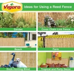 6 Ft. H X 16 Ft. W Natural Reed Fencing -Dewalt Tools Shop natural vigoro garden fencing 4477412 31 1000