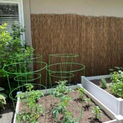 6 Ft. H X 16 Ft. W Natural Reed Fencing -Dewalt Tools Shop natural vigoro garden fencing 4477412 d4 1000