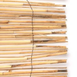 4 Ft. H X 8 Ft. W Natural Peeled And Polished Reed Fencing -Dewalt Tools Shop natural vigoro garden fencing 4477413 40 1000