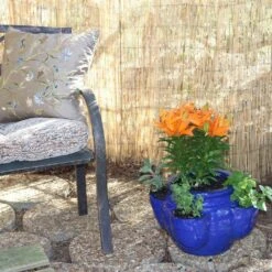 4 Ft. H X 8 Ft. W Natural Peeled And Polished Reed Fencing -Dewalt Tools Shop natural vigoro garden fencing 4477413 44 1000