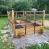 8 Ft. X 16 Ft. Cedar Garden In A Box With Deer Fencing -Dewalt Tools Shop natural wood outdoor living today raised planter boxes rb816dfo 64 1000