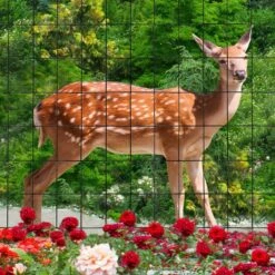 36 In. X 50 Ft. 16-Gauge PVC Coated Welded Wire Fencing For Yard Vegetable Plant Protection Poultry Netting, Black -Dewalt Tools Shop nvnoo welded wire fencing 0q2z8p5x c3 1000