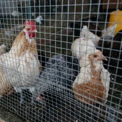 36 In. X 50 Ft. Silver Galvanized Steel Vinyl Coated Hardware Cloth, 23-Gauge Chicken Wire Fencing For Garden Fencing -Dewalt Tools Shop otryad patio parts qs yj1082 31 1000