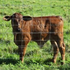 5 Ft. X 164 Ft. Silver Galvanized Steel Farm Fence, Hardware Cloth Wire Fencing For Cattle Chicken Goat Protection -Dewalt Tools Shop otryad patio parts qs yj1092 31 1000