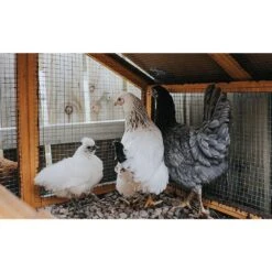 36 In. X 100 Ft. Silver 23 Gauge Galvanized Welding Chicken Wire Fence, Roll Garden Welded Metal Wire Fencing Roll 18 36 In. X 100 Ft. Silver 23 Gauge Galvanized Welding Chicken Wire Fence, Roll Garden Welded Metal Wire Fencing Roll -Dewalt Tools Shop otryad patio parts qs yq790 1d 1000