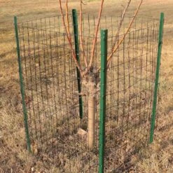 Black PVC Coated Welded Wire Fence 36 In. X 50 Ft. 2 In. X 3 In. Mesh 16GA Garden Border Fencing Roll -Dewalt Tools Shop oyezvary animal barriers 28csa10014 44 1000