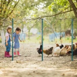 3 Ft. Sturdy Duty Metal Fence Posts Steel Fencing Poles No-Dig Garden U Post For Wire Fencing Pack Of 10 -Dewalt Tools Shop oyezvary compost accessories 28csa05168 fa 1000