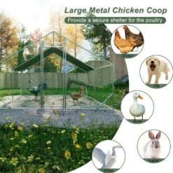 10 Ft. X 13 Ft. X 6.56 Ft. Outdoor Silver Metal Walk-in Chicken Pen Waterproof Poultry Fencing With UV Protection Cover -Dewalt Tools Shop pdtend chicken coops cp p184737 66 1000