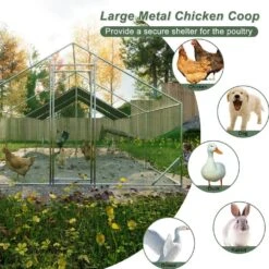10 Ft. X 26 Ft. X 6.56 Ft. Outdoor Silver Metal Walk-in Chicken Pen Waterproof Poultry Fencing With UV Protection Cover -Dewalt Tools Shop pdtend chicken coops cp p263014 40 1000