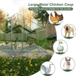 10 Ft. X 20 Ft. X 6.56 Ft. Outdoor Silver Metal Walk-in Chicken Pen Waterproof Poultry Fencing With UV Protection Cover -Dewalt Tools Shop pdtend chicken coops cp p297862 4f 1000