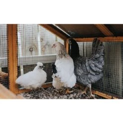 600 In. X 36 In. 1/4 In. 23-Gauge Silver Galvanized Steel Hot-Dip Hardware Cloth Plant Welded Wire Garden Fencing Roll -Dewalt Tools Shop silver cesicia garden fencing gf p310773 66 1000