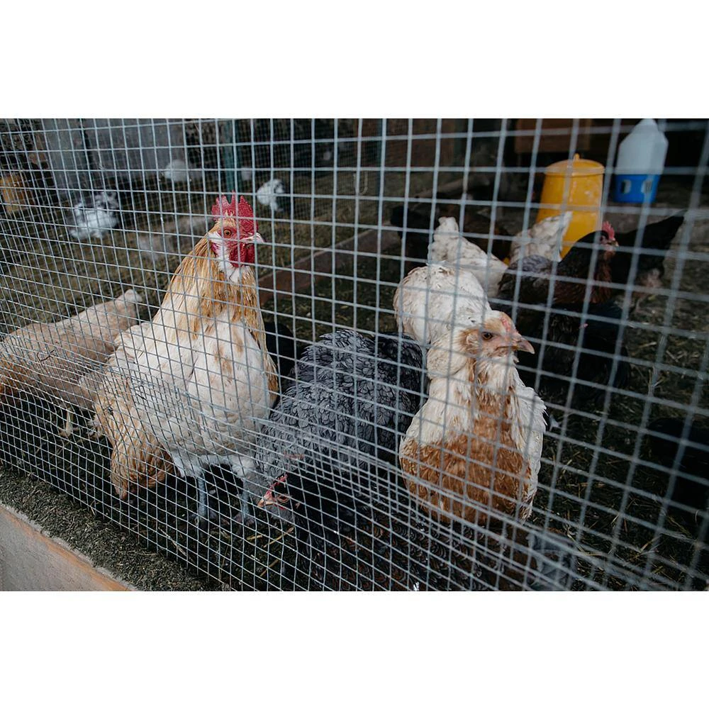 3 Ft. X 100 Ft. 23 Gauge Galvanized Metal Wire Fence Snake Fencing 6 3 Ft. X 100 Ft. 23 Gauge Galvanized Metal Wire Fence Snake Fencing - Image 4