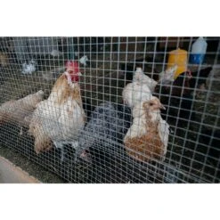 1/4 In. 50 Ft. W X 3 Ft. H 23 Gauge Vinyl Coated Galvanized Metal Wire Garden Fence Snake Fencing Chicken Fence -Dewalt Tools Shop silver garden fencing ff p310773 b 76 1000