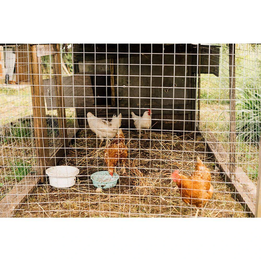 Hardware Cloth 3 Ft. X 100 Ft. 23 Gauge Galvanized Wire Fence, 36 In. H Garden Fence Welded Metal Wire Fencing Roll 4 Hardware Cloth 3 Ft. X 100 Ft. 23 Gauge Galvanized Wire Fence, 36 In. H Garden Fence Welded Metal Wire Fencing Roll - Image 2