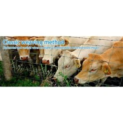 5 Ft. X 164 Ft. 14Gauge Farm Fence Heavy Zinc Coating Cattle Fence, Galvanized Field Wire Fencing For Animals Protection 14 5 Ft. X 164 Ft. 14Gauge Farm Fence Heavy Zinc Coating Cattle Fence, Galvanized Field Wire Fencing For Animals Protection -Dewalt Tools Shop silver oyezvary garden fencing 28csa11 4443 c3 1000