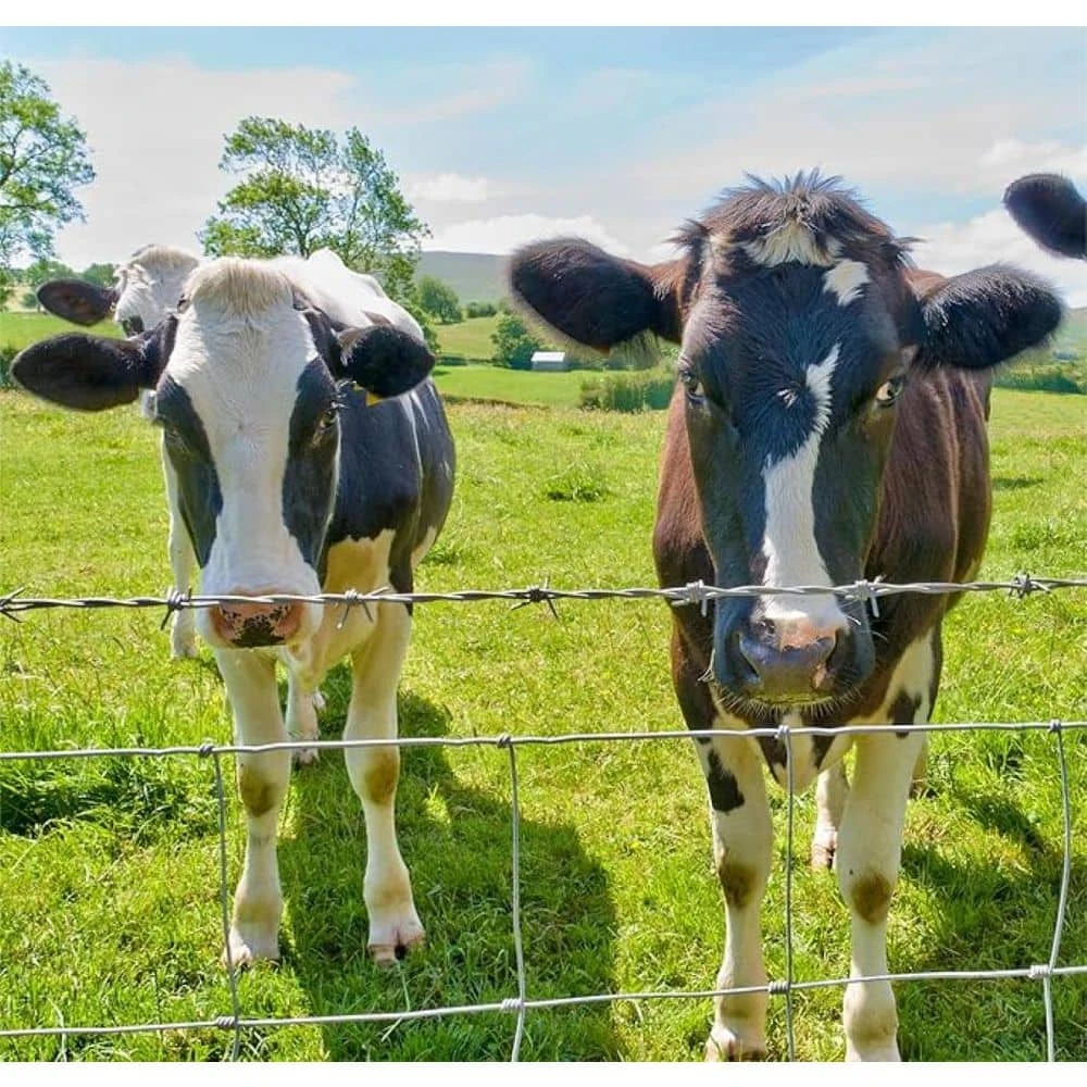 5 Ft. X 164 Ft. 14Gauge Farm Fence Heavy Zinc Coating Cattle Fence, Galvanized Field Wire Fencing For Animals Protection 10 5 Ft. X 164 Ft. 14Gauge Farm Fence Heavy Zinc Coating Cattle Fence, Galvanized Field Wire Fencing For Animals Protection - Image 8