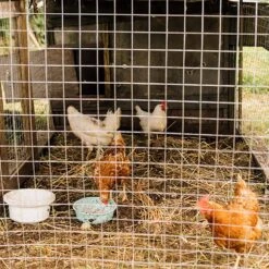 48 In. Metal Hardware Cloth 19-gauge, Welding Chicken Wire Fence Roll Garden Fence, Welded Metal Wire Fencing Roll -Dewalt Tools Shop silver siavonce garden fencing xmj p160445 31 1000