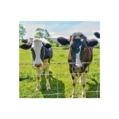 48 In. Garden Farm Fence, 13-Gauge Heavy Metal Coating Cattle Fence, Galvanized Field Wire Fencing Deer Fence -Dewalt Tools Shop silver siavonce garden fencing xmj p270215 31 1000