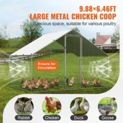 Poultry Fencing Large Metal Chicken Coop 9.8 X 6.5 X 6.5 Ft. Walk-in Chicken Run With Waterproof Cover Spire Roof -Dewalt Tools Shop skyshalo chicken coops brsjp2x3x2mjbaskev0 0807 1f 1000