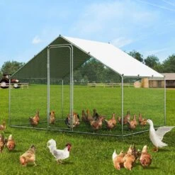 Poultry Fencing Large Metal Chicken Coop 9.8 X 6.5 X 6.5 Ft. Walk-in Chicken Run With Waterproof Cover Spire Roof -Dewalt Tools Shop skyshalo chicken coops brsjp2x3x2mjbaskev0 0807 31 1000